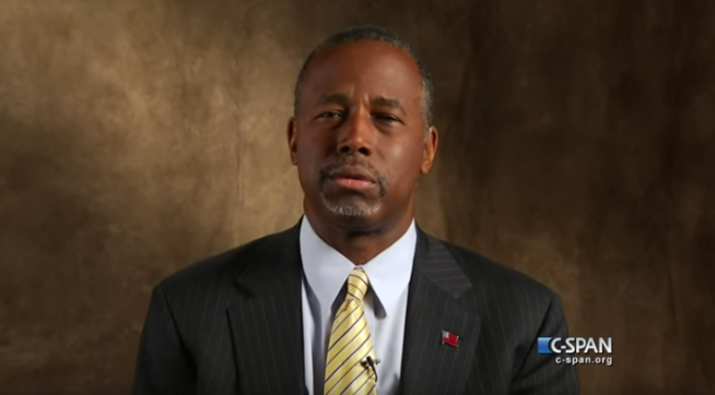 Constitution cafe essay 08 image