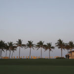 Palm trees are seen across a lawn at Mar-a-Lago where President Donald Trump and Chinese President Xi Jinping are meeting, Thursday, April 6, 2017, in Palm Beach, Fla. (AP Photo/Alex Brandon)