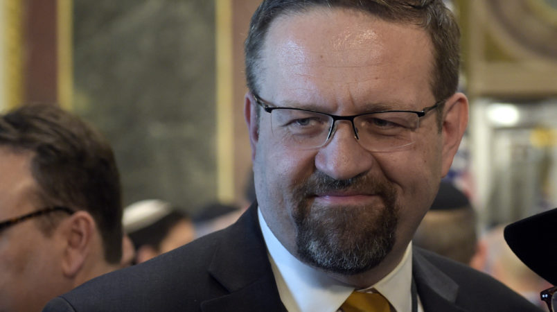 matt walsh vegas shooting gorka black africans are shooting each other by the matt walsh vegas shooting gorka black africans are shooting each other by the