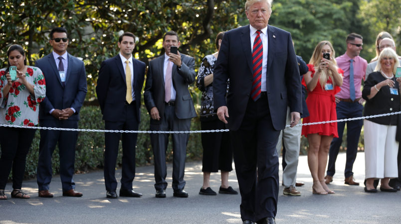 Muhammad Ali: President Trump mulls draft dodging pardon
